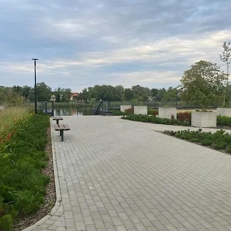 Comfortable Apartment, Zone, * Дзивнув